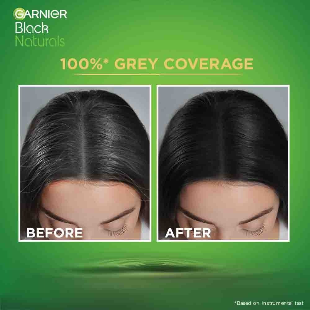 Garnier Hair Color Deep Black 1.0