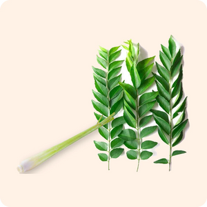 Fresh Herbs