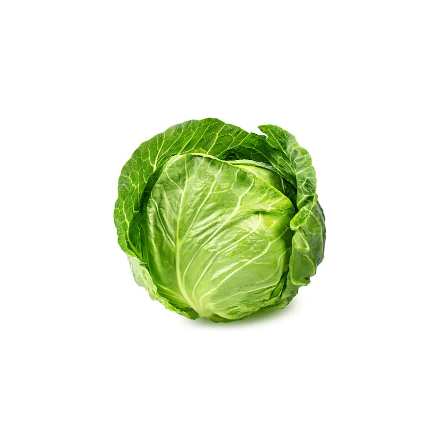 Cabbage Each Piece Fresh