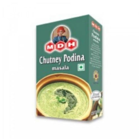 MDH Chutney Podina Masala 100g