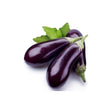 Eggplant Fresh