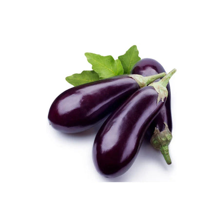 Eggplant Fresh