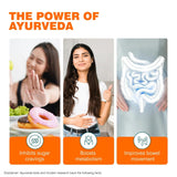 Himalaya Ayur Slim 60 Capsules (Weight Management)