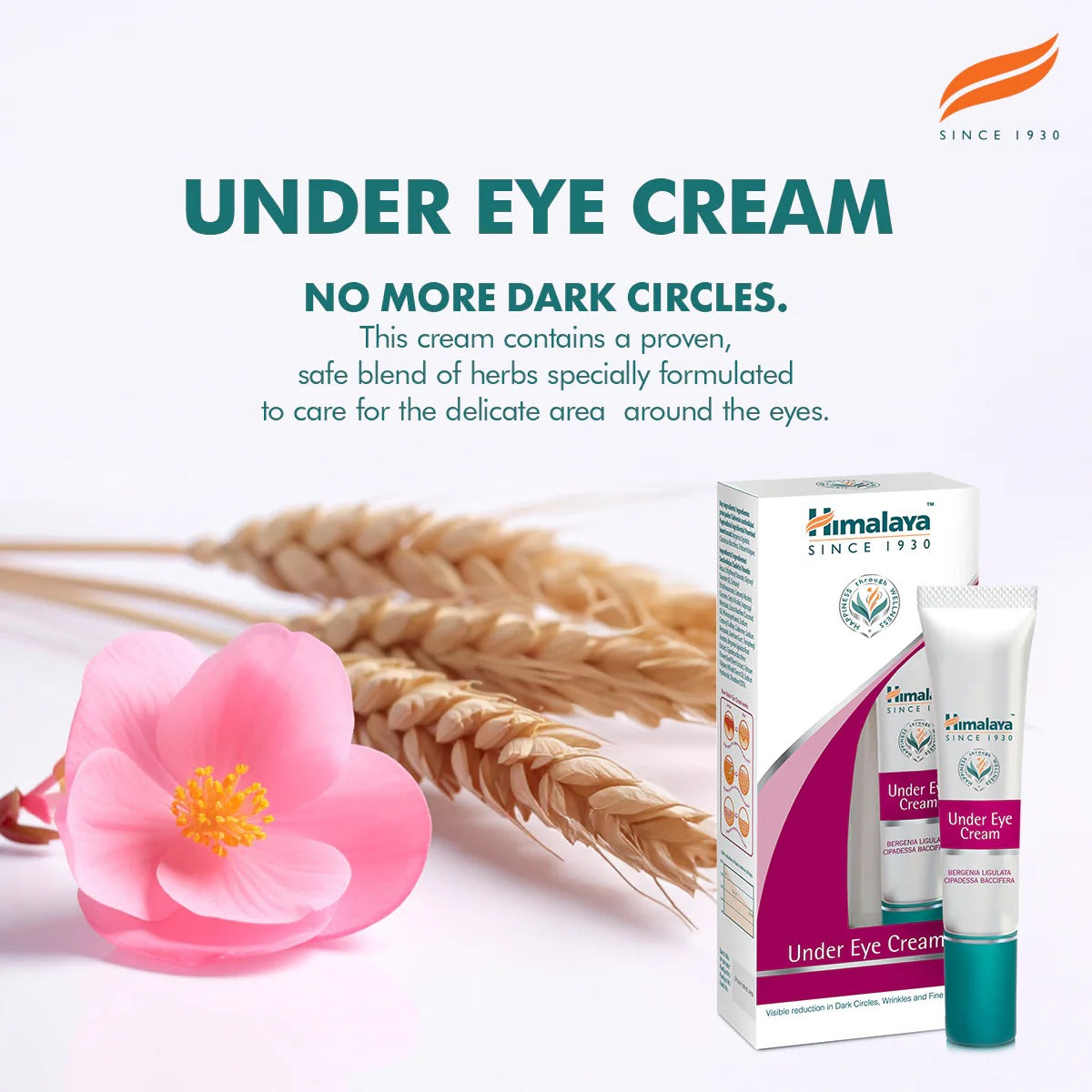 Himalaya Under Eye Cream 15ml