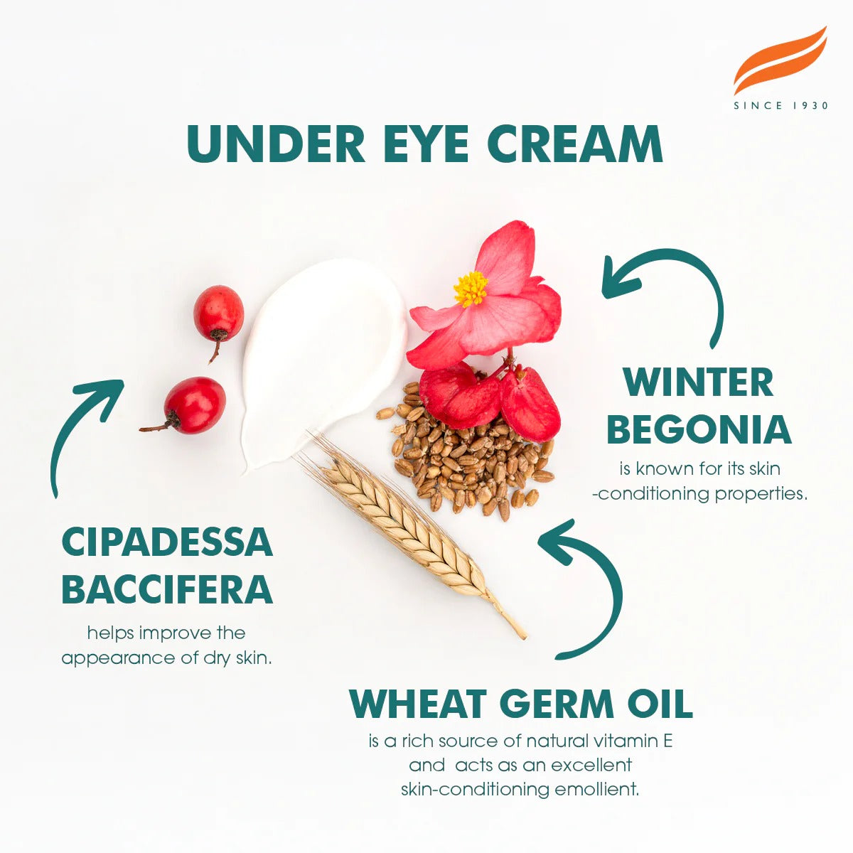 Himalaya Under Eye Cream 15ml