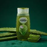 Kesh Kanti Aloe Vera Shampoo 200ml- Patanjali