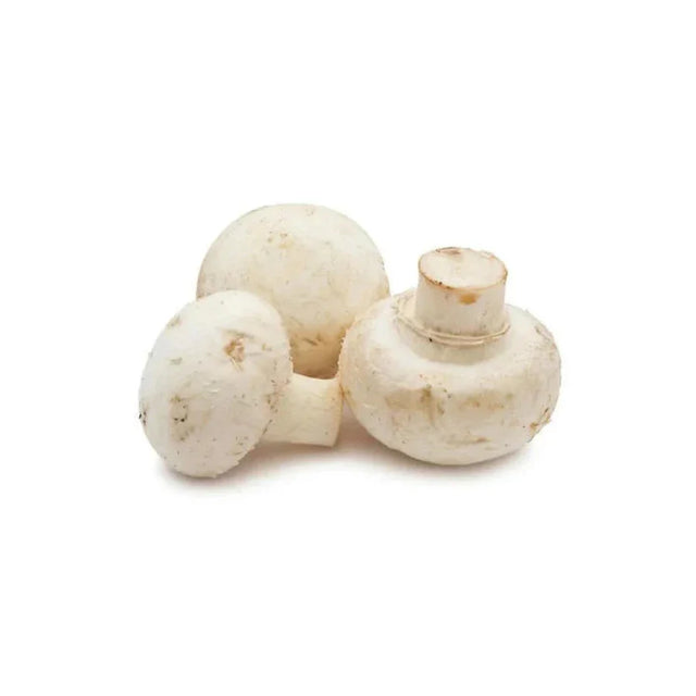 Mushroom Fresh