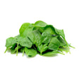 Baby Spinach Fresh