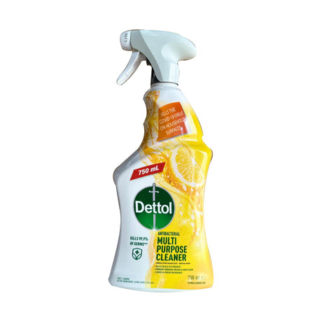 Dettol Antibacterial Multi Purpose Cleaner 750ml