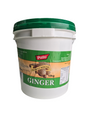 Pattu Ginger Paste 10Kg