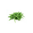 Green Beans Fresh