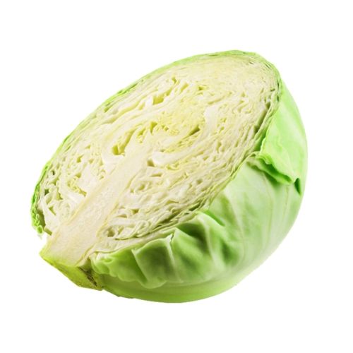 Fresh Half Cabbage (Large Size)