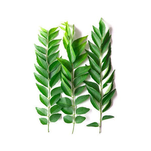 Fresh Herbs